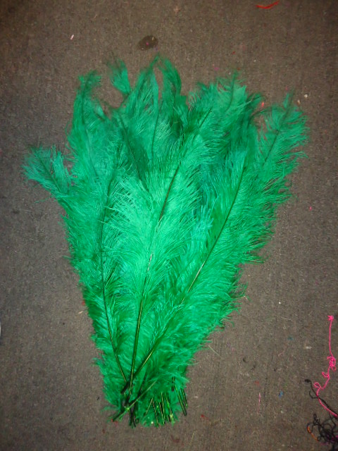 Ostrich Feather Plume 18-24 INCH GREEN